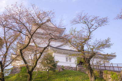 Low angle view of trees and building against sky