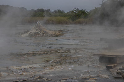 environment