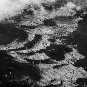 High angle view of trees on landscape