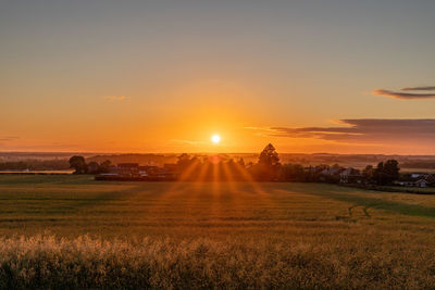 Scenic view of field against sky during sunset