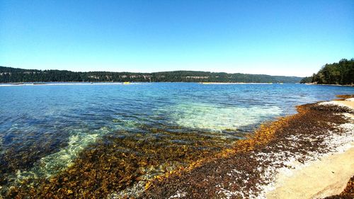 Scenic view of sea against clear blue sky