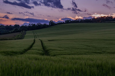 Scenic view of grassy field against cloudy sky