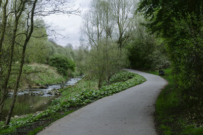 Road amidst trees in forest