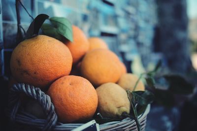 Close-up of oranges