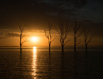 Silhouette tree by sea against romantic sky at sunset