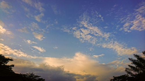 Low angle view of trees against cloudy sky