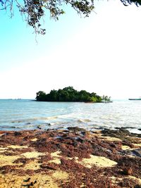 Scenic view of sea against clear sky