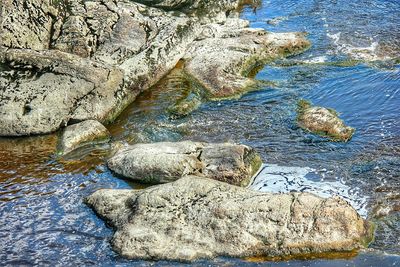 Rocks in sea