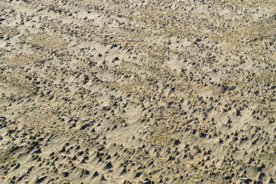 High angle view of tire tracks on sand