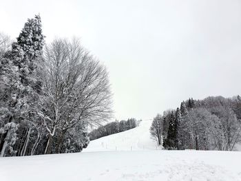 Trees on snow covered field against sky