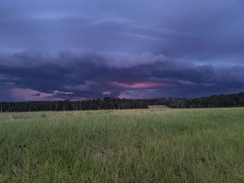 Scenic view of field against sky