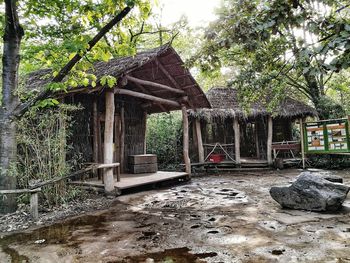 Abandoned house by trees in forest