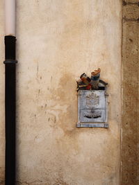 Close-up of old building. letter box vintage