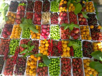 Full frame shot of multi colored fruits