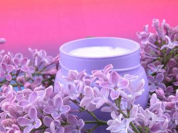 Close-up of pink flowers on table