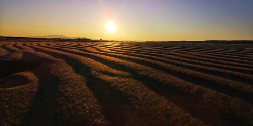 Scenic view of field against sky during sunset