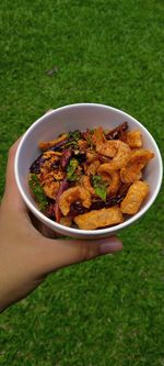 High angle view of hand holding bowl of grass