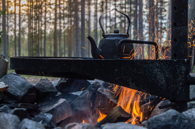 Close-up of fire on log against trees