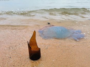 High angle view of person on beach