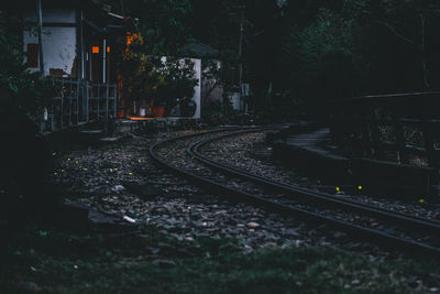 Railroad tracks amidst plants and trees