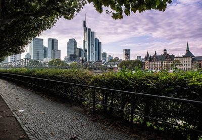 Buildings in city