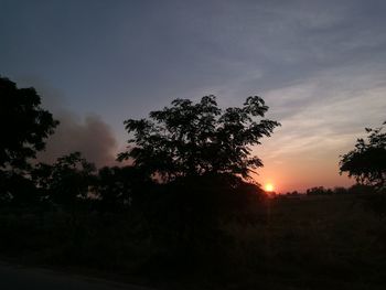 Silhouette trees against sky during sunset