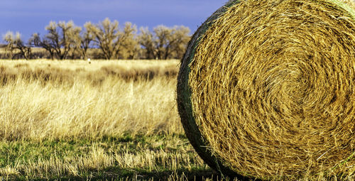 Hay bales on field against sky