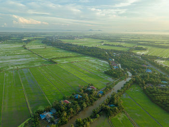 High angle view of agricultural field against sky