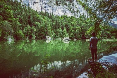 Rear view of man standing by lake at forest