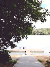 Rear view of people sitting on lake against trees