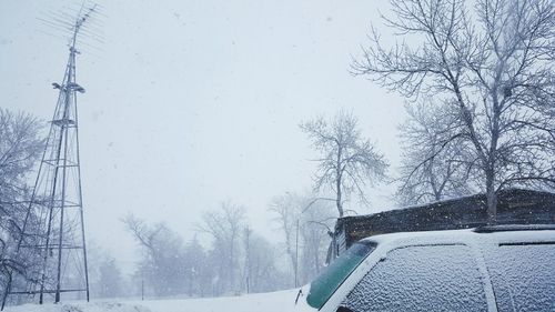 Close-up of snow covered trees against sky