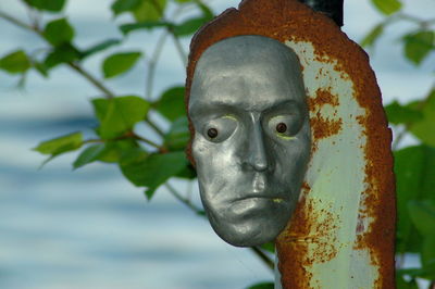 Close-up of statue against trees