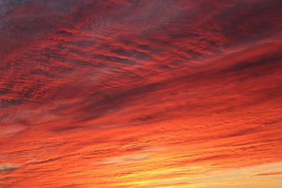 Low angle view of orange sky