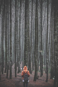 Rear view of woman standing in forest