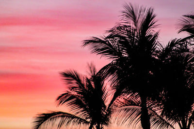 Silhouette palm trees against sky during sunset