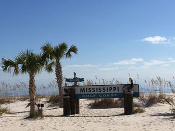 View of trees on beach
