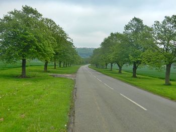 Road amidst trees against sky