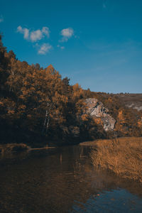 Scenic view of lake by trees against sky