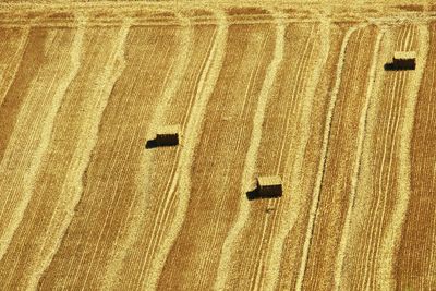 High angle shot of hay bales on landscape