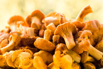 Close-up of chanterelle mushrooms