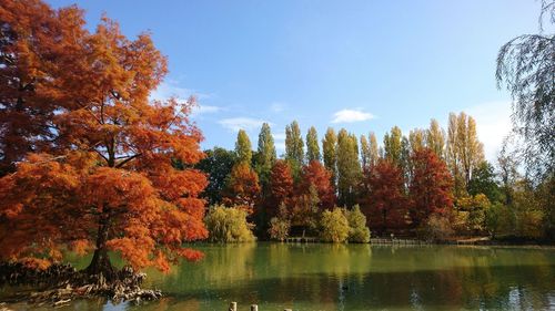 Autumn trees by lake in park against sky
