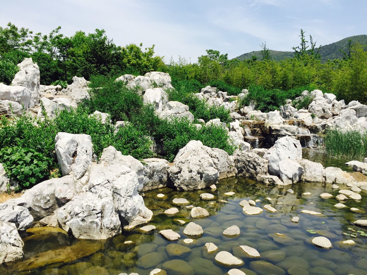 growth, nature, rock - object, tranquility, beauty in nature, plant, sky, tree, tranquil scene, scenics, day, green color, no people, flower, rock, outdoors, sunlight, non-urban scene, stone - object, landscape