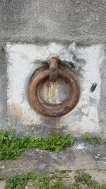 Close-up of rusty door