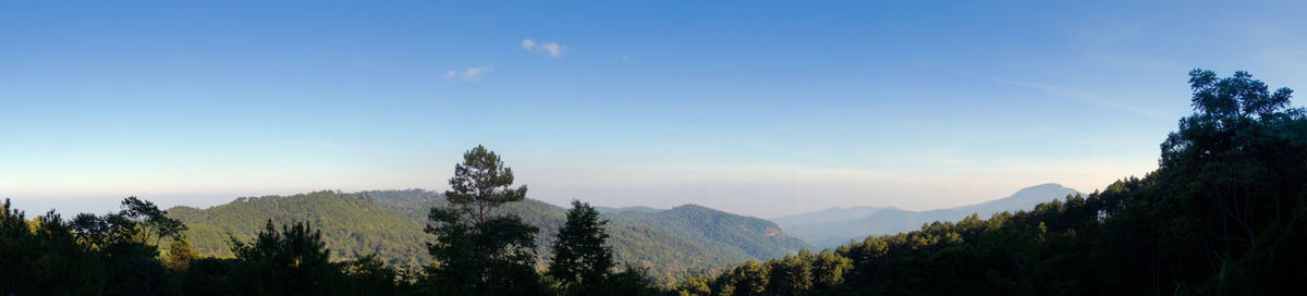 Panoramic view of trees on mountain against sky