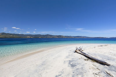 Scenic view of beach against blue sky