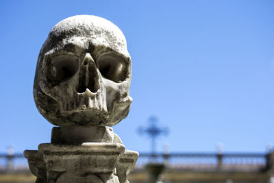 Close-up of human skull against clear blue sky