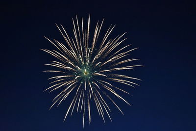 Low angle view of fireworks in sky at night