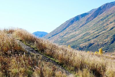 Scenic view of landscape against clear sky