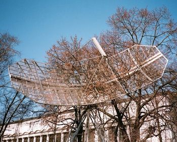 Low angle view of bare trees against the sky
