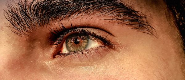 Close-up portrait of human eye